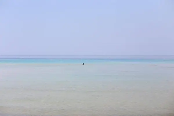 遠浅で安全です。