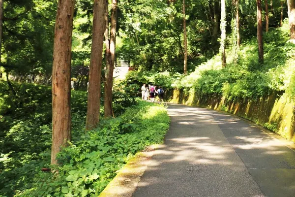 少し急な坂を登ると