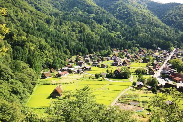 白川郷集落が一望✨