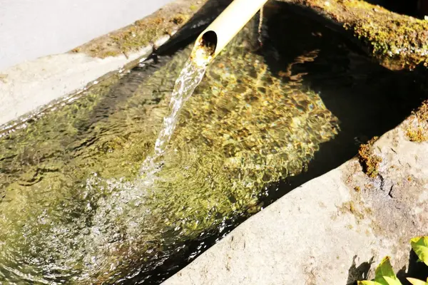 なんといっても水がきれい