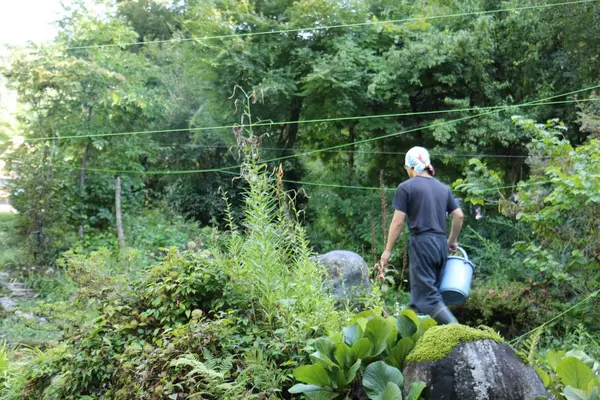 料理を注文すると