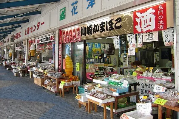 海産物を販売するお店がズラリ！