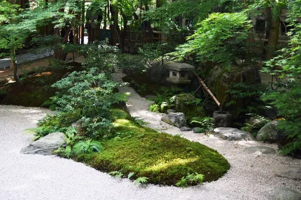 美術館全体が芸術