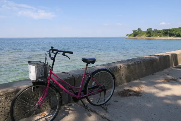 自転車道が整備されています