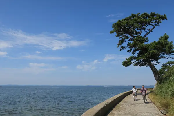 島の反対側の景色が最高