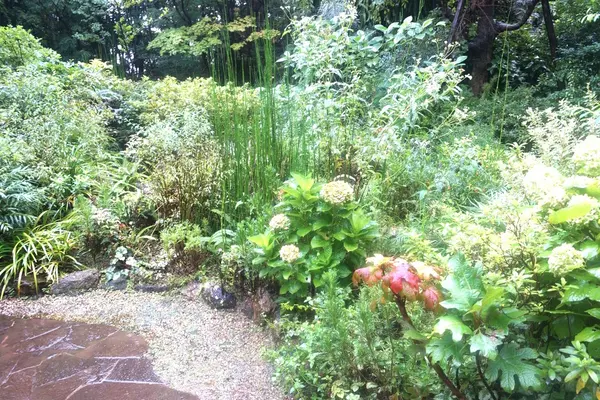 季節の植物