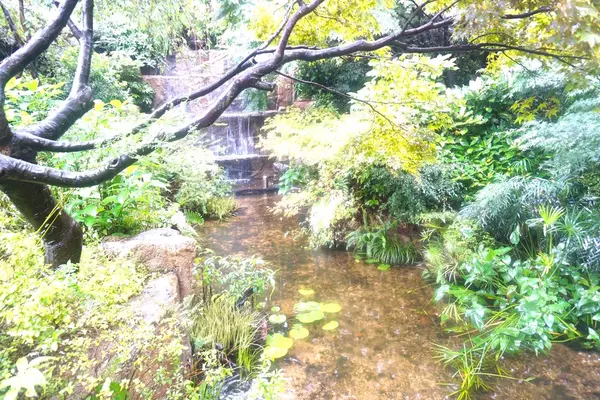 滝