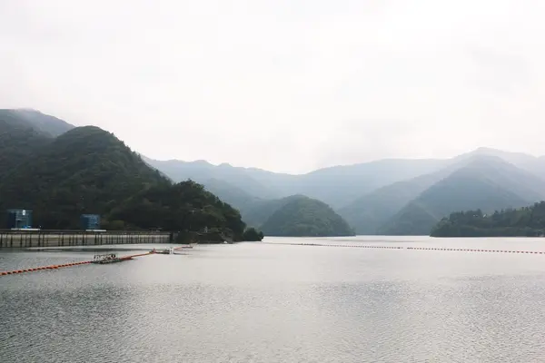 想像より大きくてびっくりしました！