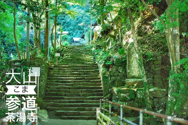 来迎院 山門 参道