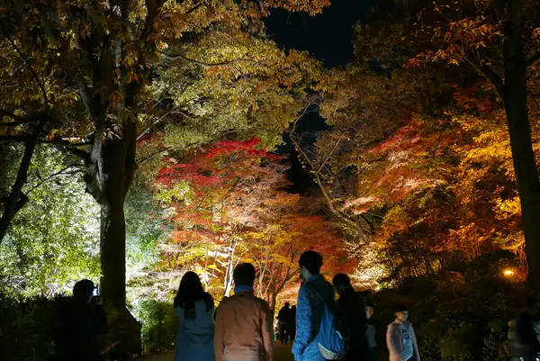 通路両側が紅葉