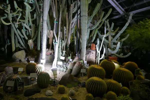 夜の温室は一味違う