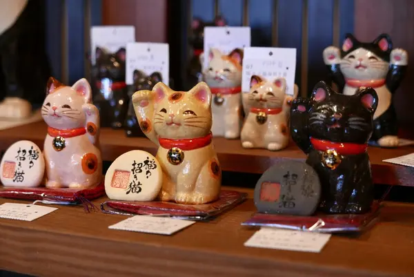 様々なタイプの猫がいます