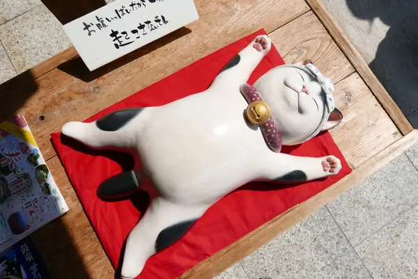 どんと来い状態の猫