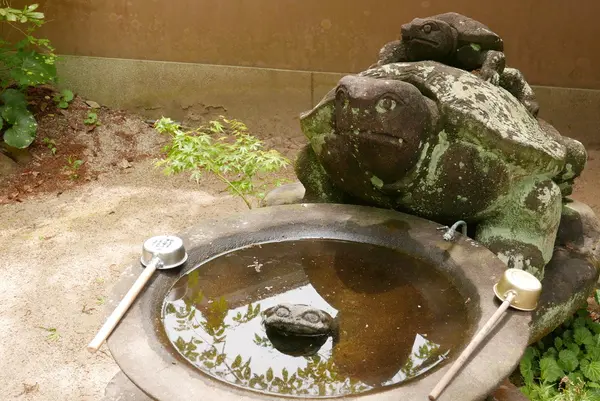 カメの手水