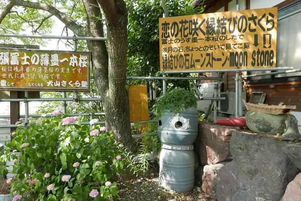 説明看板がやたら多い