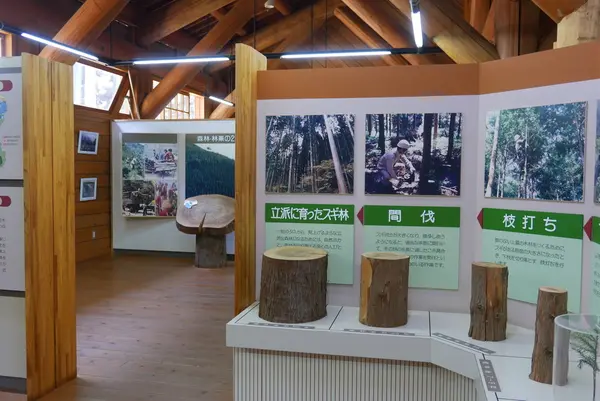 山の木についての資料館