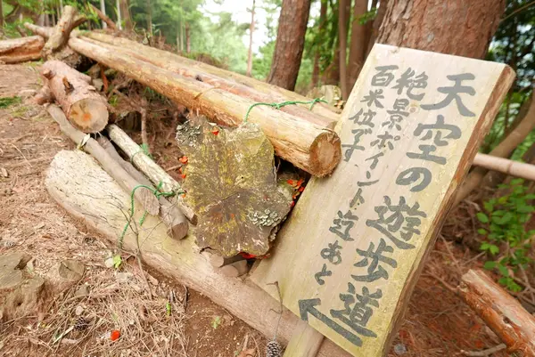 ここから先が問題の道
