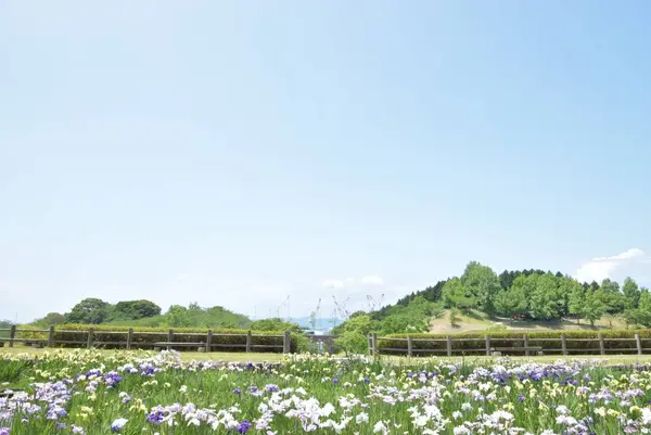 階段をのぼると・・・？