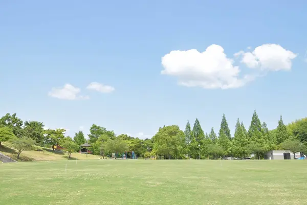 藤山公園中央