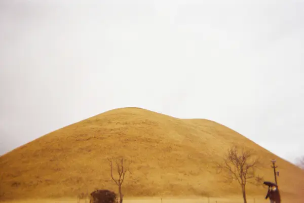 대릉원 풍경 大陵苑（テヌンウォオン）の風景