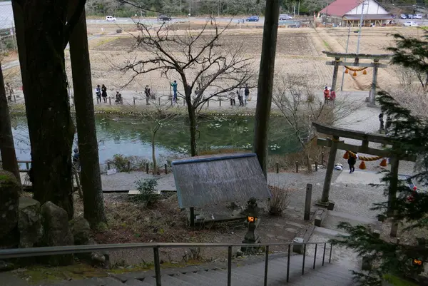 上から池を見てみる