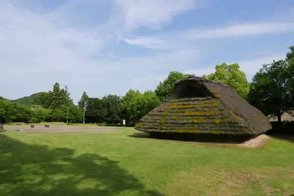整備された公園