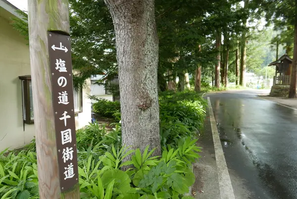 塩の道ですね