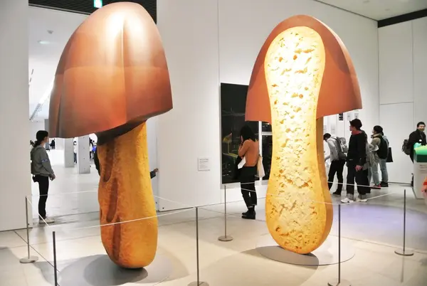 デザインの解剖展