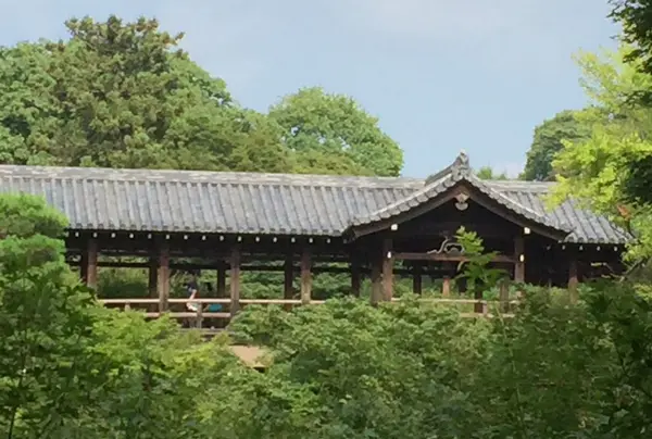 木の橋より