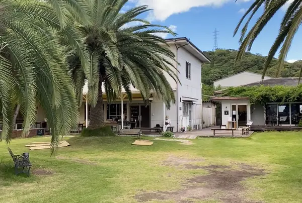 ヤシの木が素敵なリゾート感溢れるお庭🌴