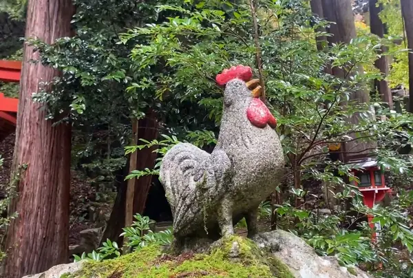 ニワトリの石がある～！🐔