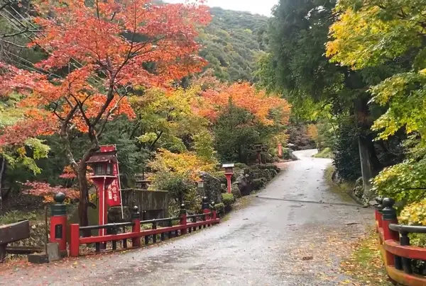 紅葉🍁
