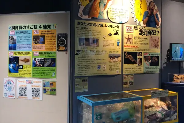 展示エリア