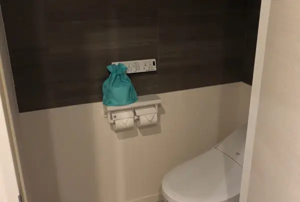 お手洗い🚽