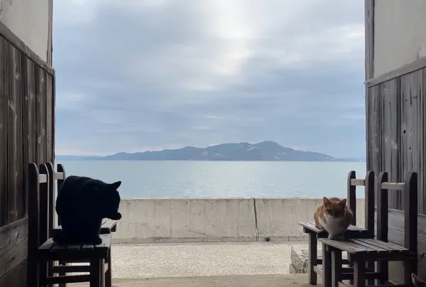 外の廊下からの景色