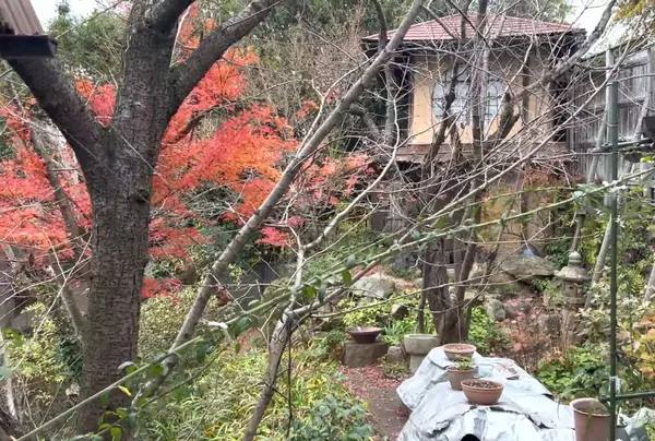 素敵なお庭