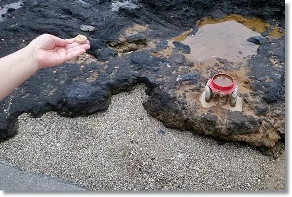 もう一つの願掛け「釜蓋投げ」