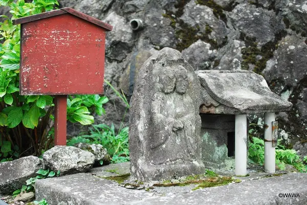 養生館はるのひかりの写真・動画_image_100009