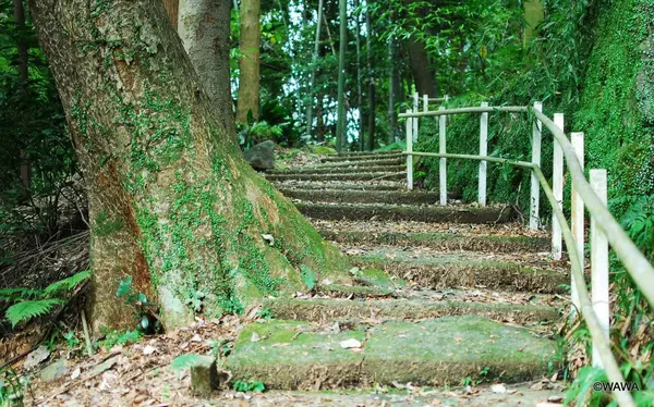 養生館はるのひかりの写真・動画_image_100010