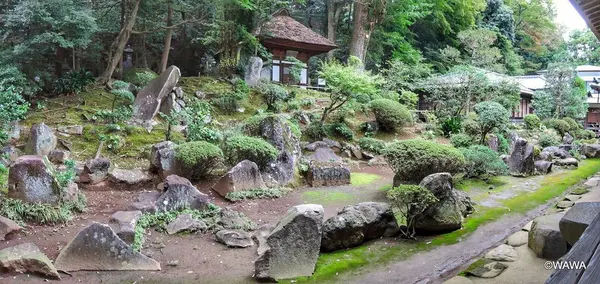 早雲寺の写真・動画_image_100011