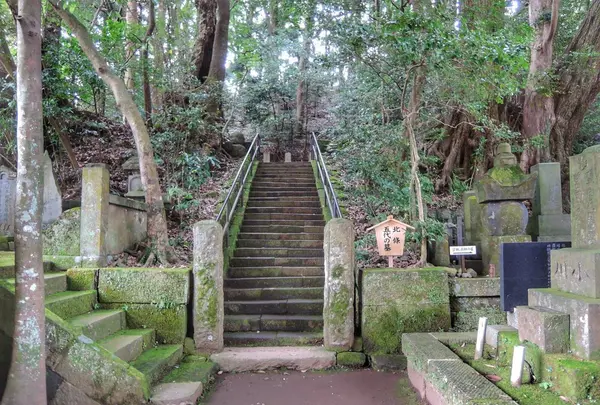 早雲寺の写真・動画_image_100013