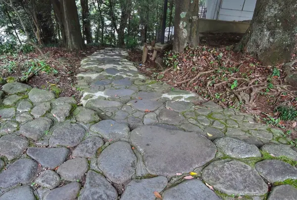 箱根町立郷土資料館の写真・動画_image_100018