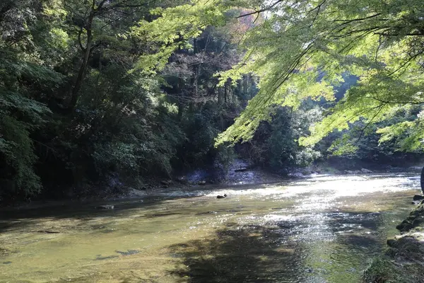 粟又ノ滝の写真・動画_image_100023