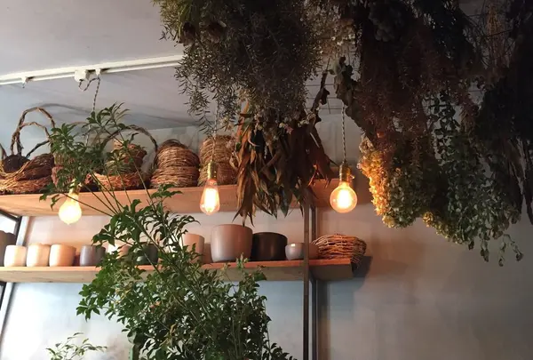 ex. flower shop & laboratory NAKAMEGUROの写真・動画_image_100054