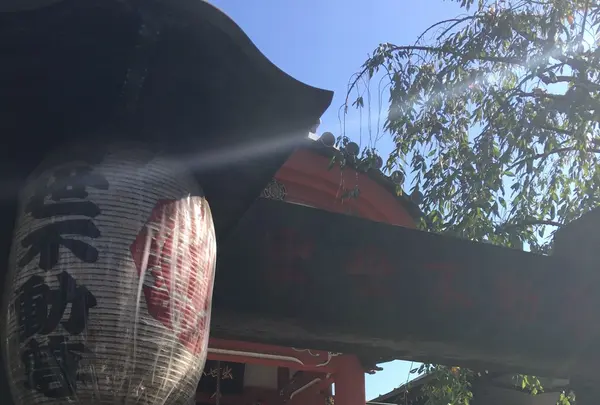 霊巌寺の写真・動画_image_100095