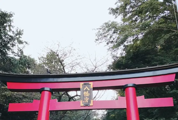 大宮八幡宮の写真・動画_image_100102