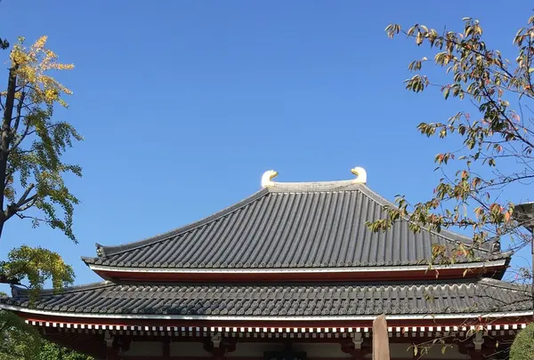 浅草寺の写真・動画_image_100148