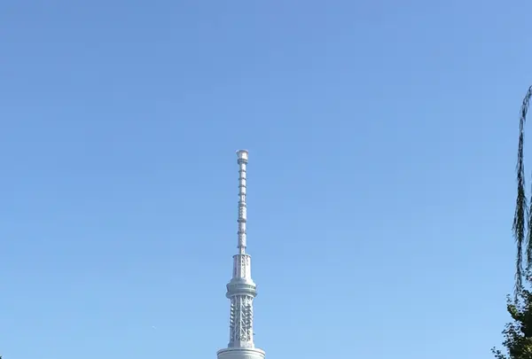 浅草花月堂 本店の写真・動画_image_100151