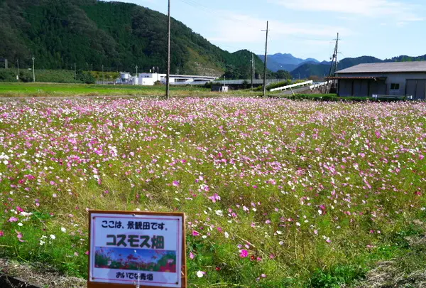道の駅 あおがきの写真・動画_image_100284