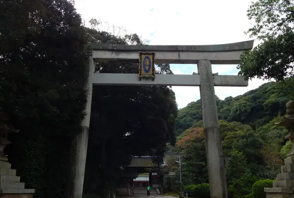 やわた走井餅老舗の写真・動画_image_100312